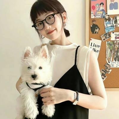 低智商犯罪